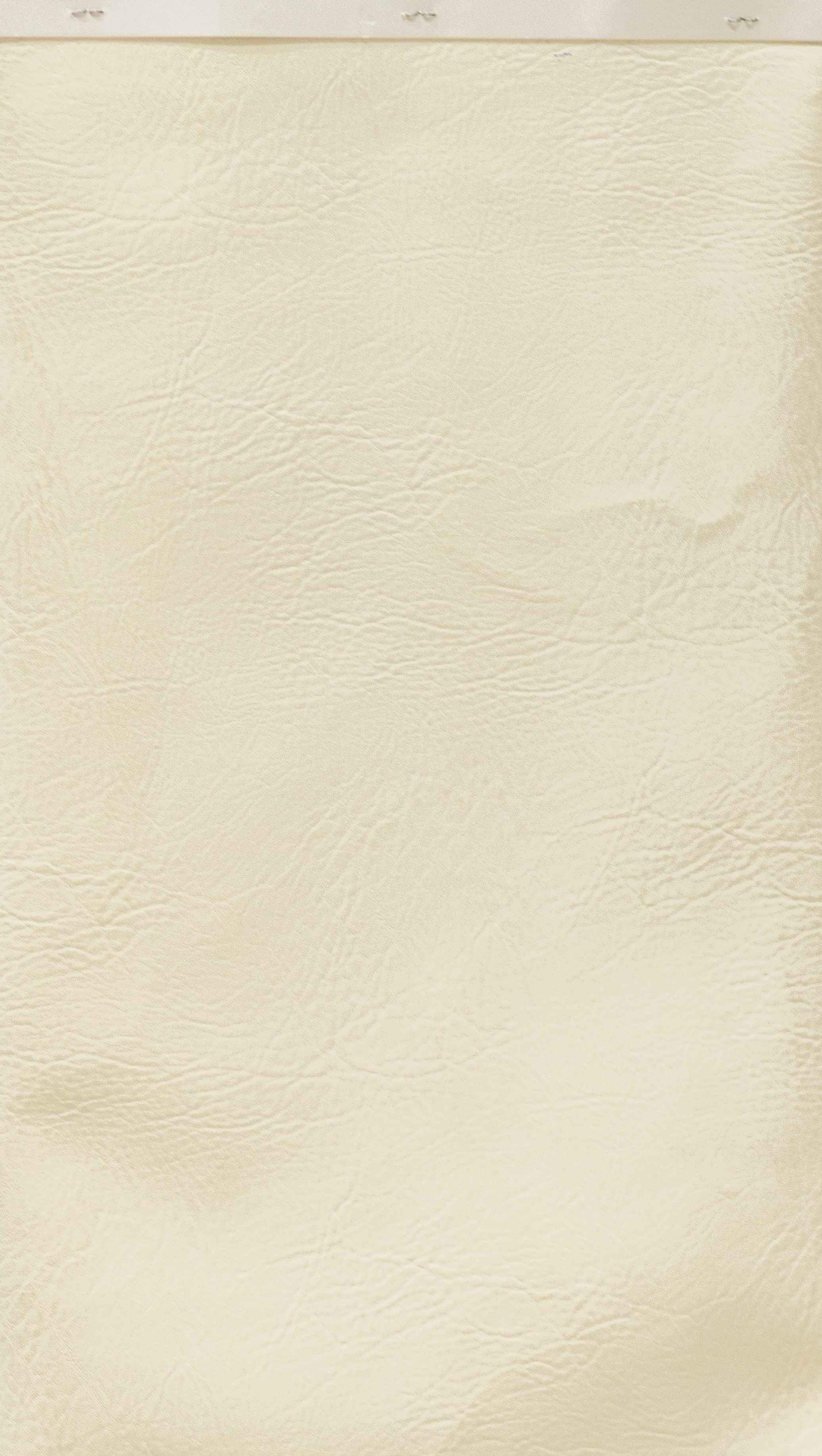 Buffalo Offwhite